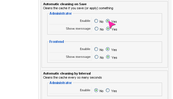 Cache Cleaner